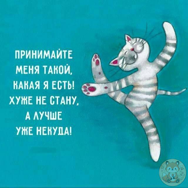 ПРИНИМАЙТЕ МЕНЯ ТАКОЙ, КАКАЯ Я ЕСТЬ! ХУЖЕ НЕ СТАНУ, А ЛУЧШЕ УЖЕ НЕКУДА!
