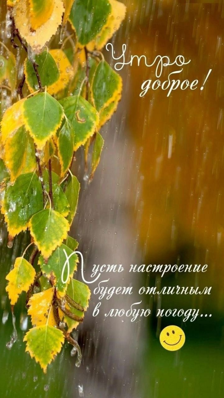 Утро доброе! Пускай настроение будет отличным в любую погоду...