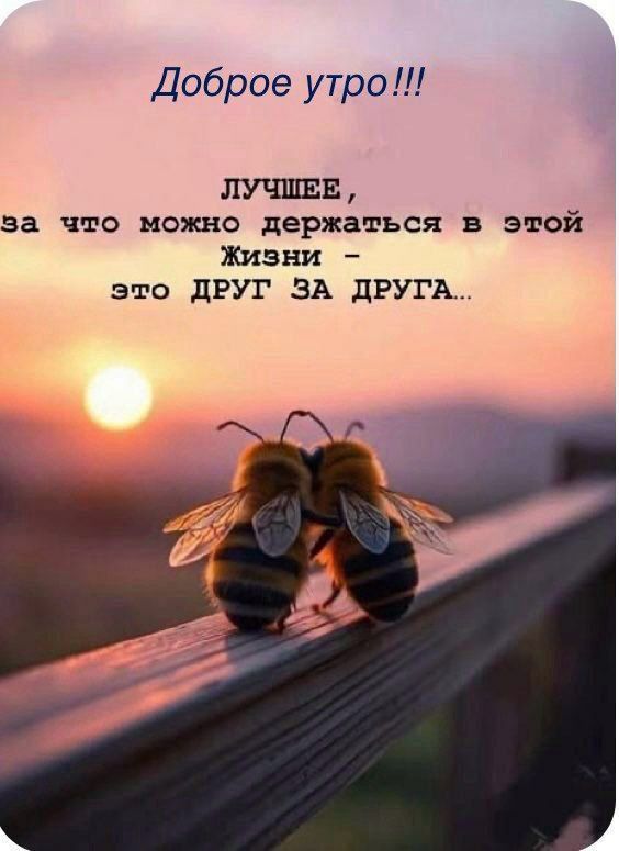 Доброе утро!!!

ЛУЧШЕЕ,
за что можно держаться в этой Жизни –
это ДРУГ ЗА ДРУГА…