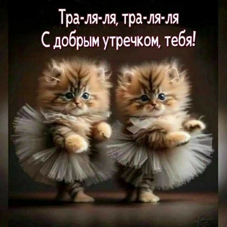 Тра-ля-ля, тра-ля-ля
С добрым утречком, тебя!