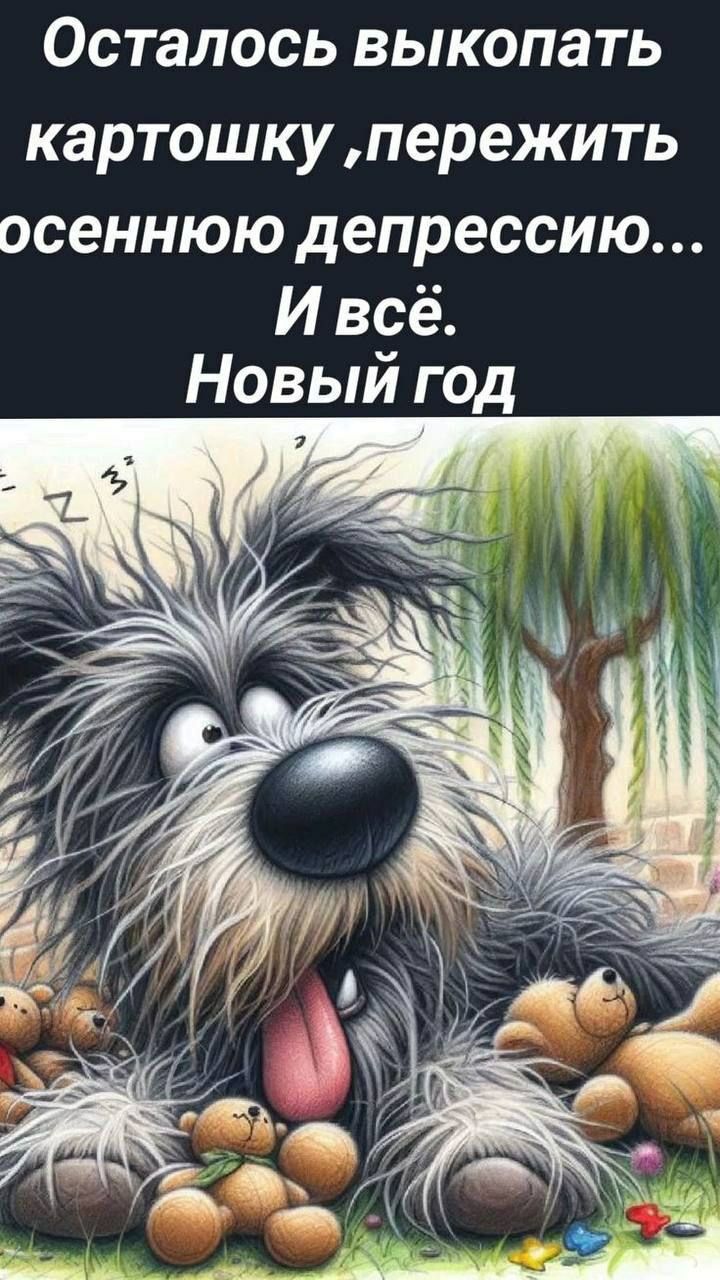 Осталось выкопать картошку, пережить осеннюю депрессию... И всё. Новый год