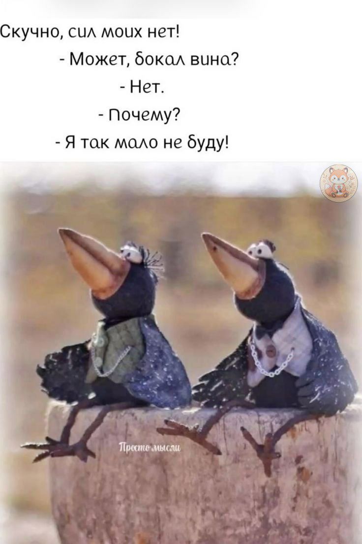 Скучно, сил моих нет!
- Может, бокал вина?
- Нет.
- Почему?
- Я так мало не буду!