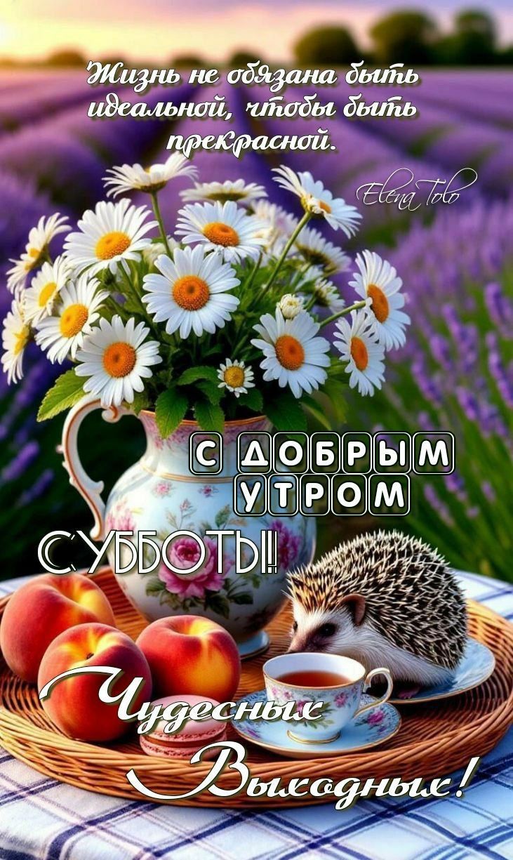 Жизнь не обязывает быть идеальной, чтобы быть прекрасной.

 Elena Tolo

С ДОБРЫМ УТРОМ
СУББОТЫ!!

Чудесных Выходных!