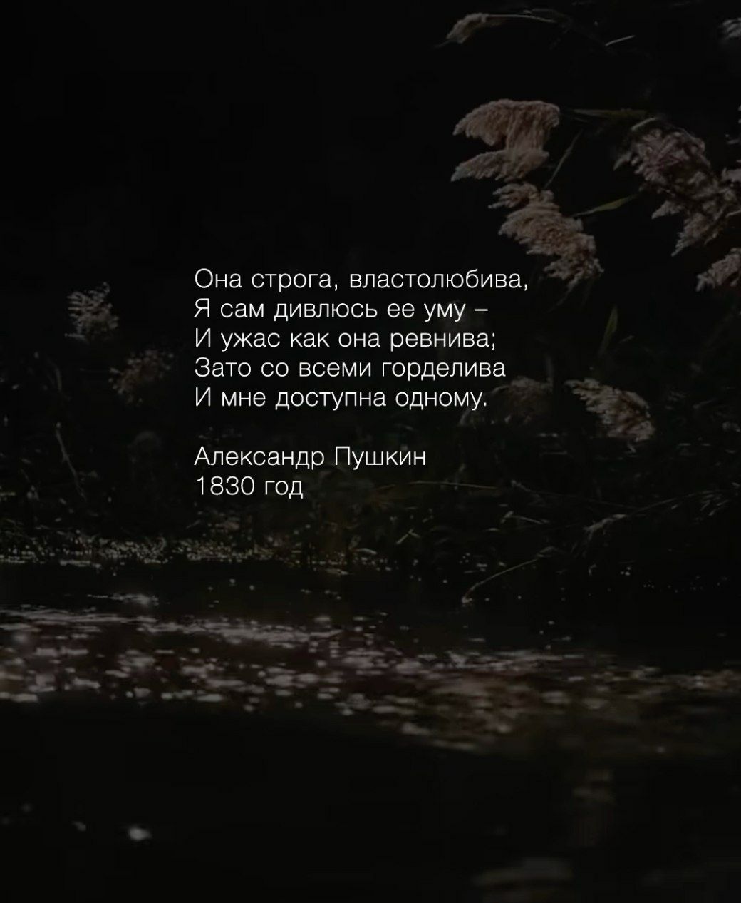Она строгая, властолюбива,
Я сам дивлюсь ее уму –
И ужас как она ревнива;
Зато со всеми горделива
И мне доступна одному.

Александр Пушкин
1830 год