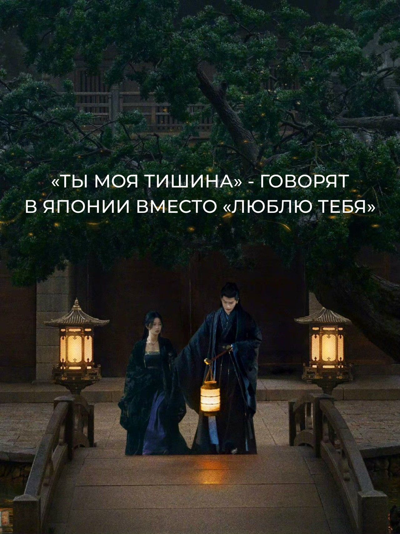 «Ты моя тишина» - говорят в Японии вместо «люблю тебя»