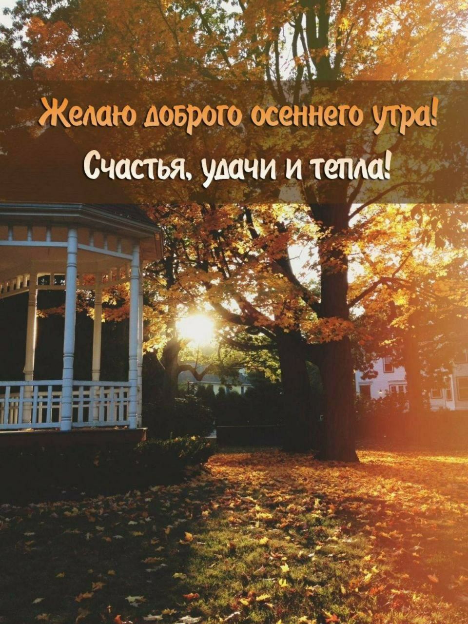 Желаю доброго осеннегo утра! Счастья, удачи и тепла!
