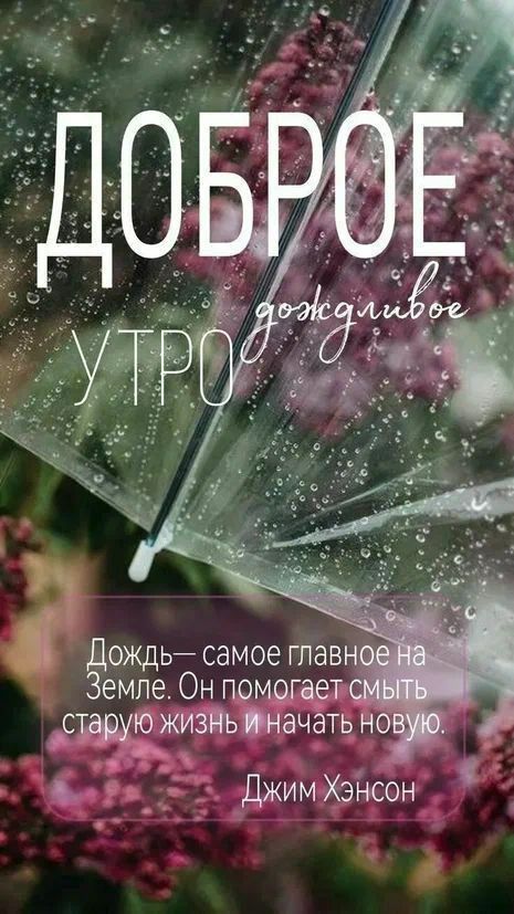ДОБРОЕ дождливое УТРО

Дождь— самое главное на Земле. Он помогает смыть старую жизнь и начать новую.

Джим Хэнсон