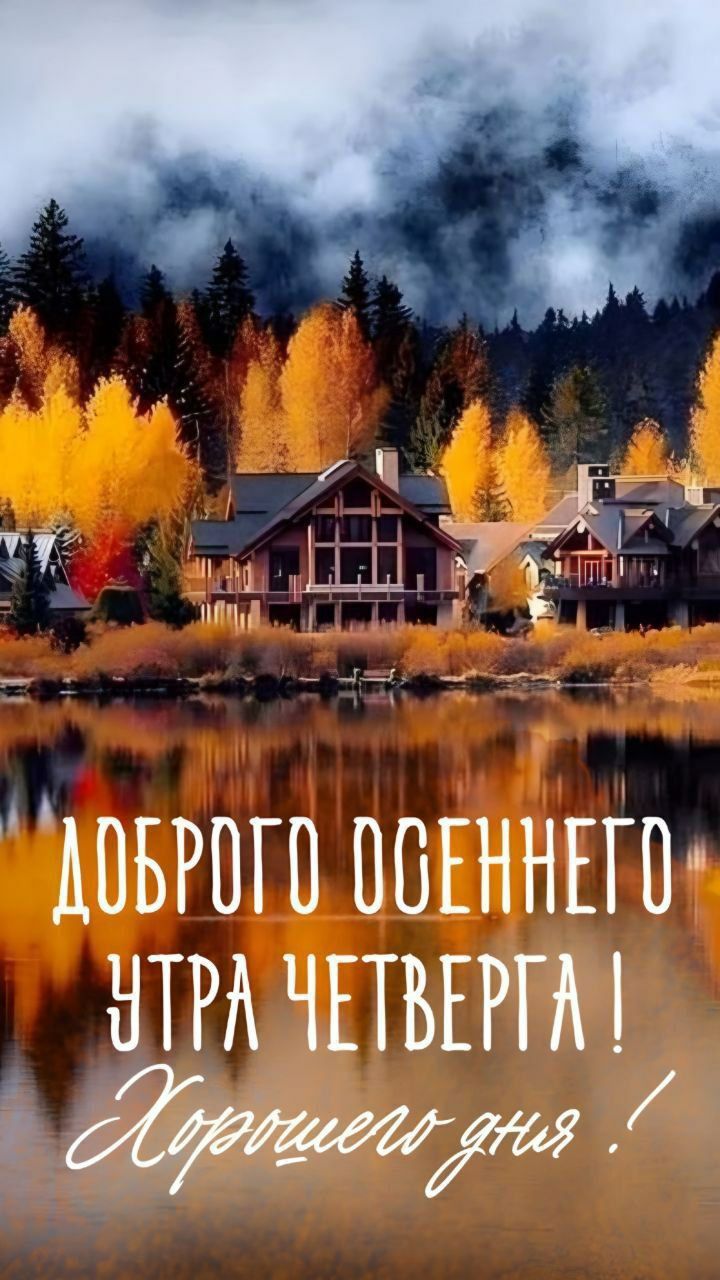Доброго осеннего утра четверга ! Хорошего дня !