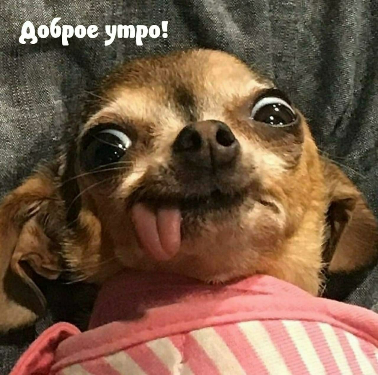 Доброе утро!