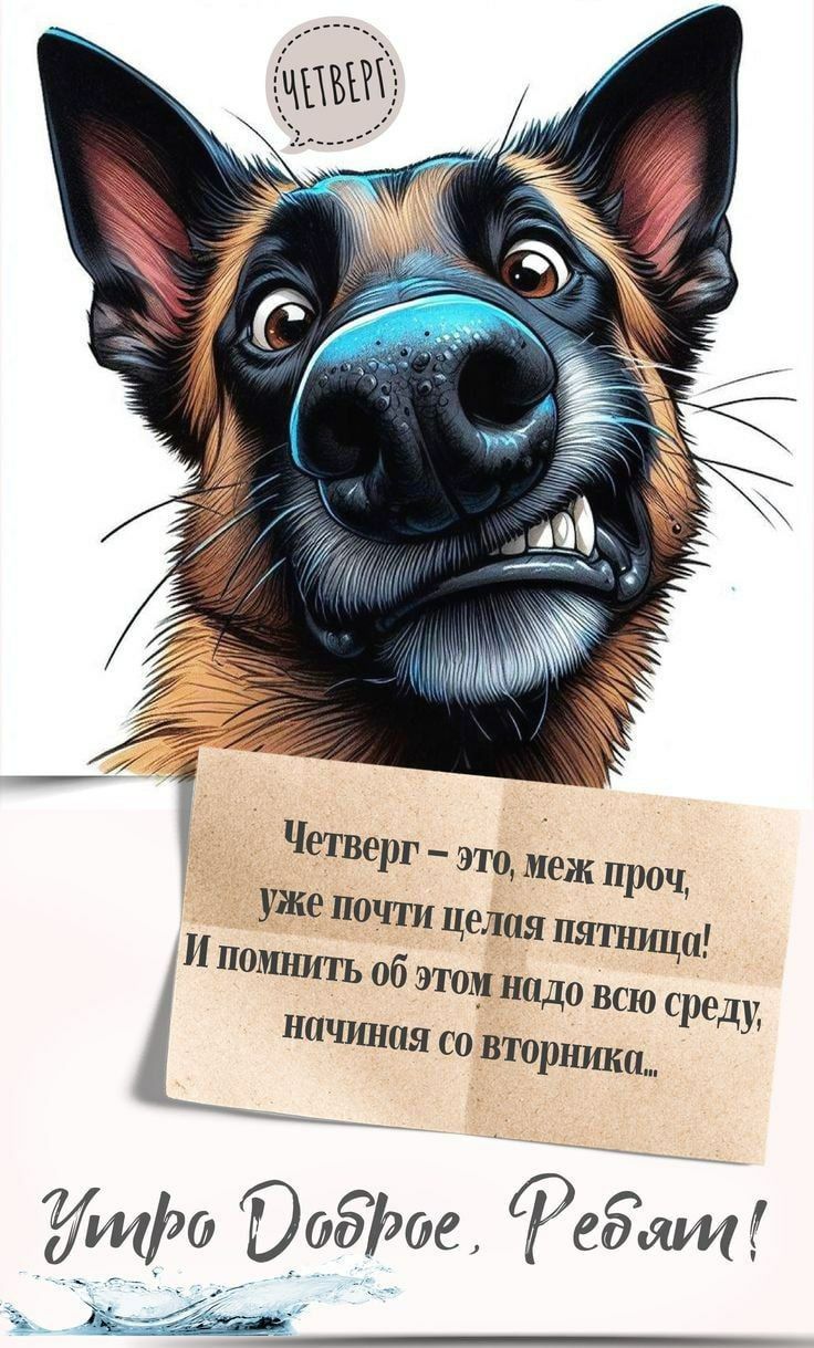 Четверг – это, меж прочим, уже почти целая пятница! И помнить об этом надо всю среду, начиная со вторника...
Утро Доброе, Ребят!