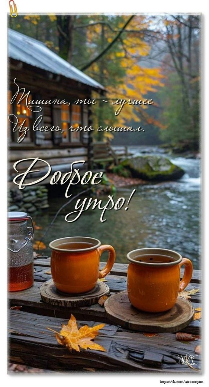 Тишина, ты - чудеснее из всего, что слышал. Доброе утро!