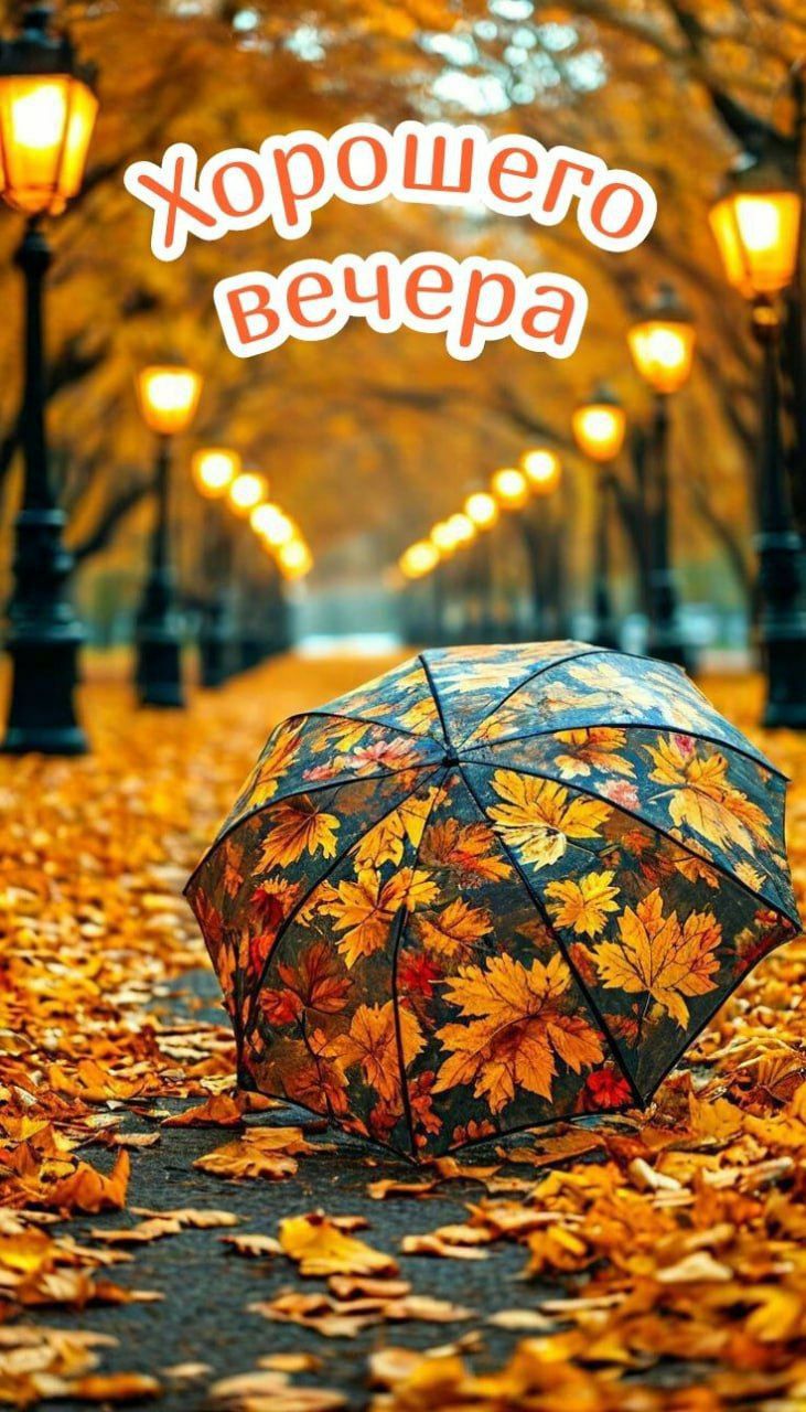 Хорошего вечера