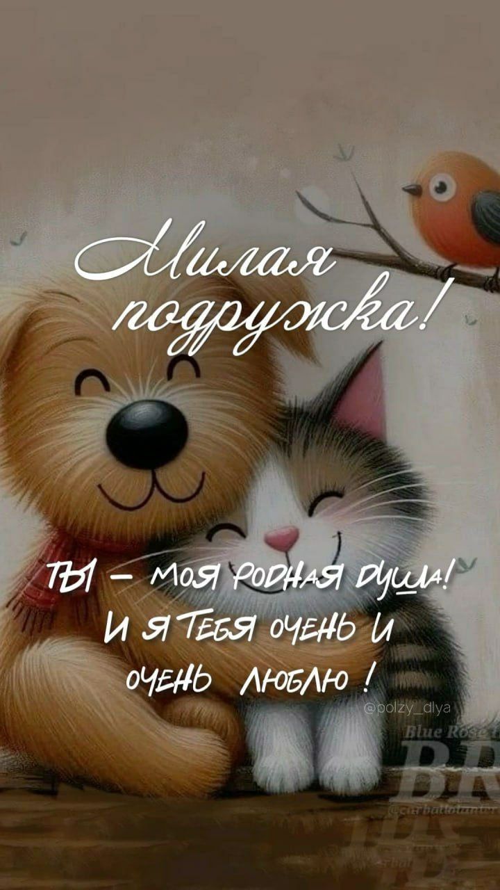 Милая подружка! ТЫ – моя родная душа! И я тебя очень и очень люблю!