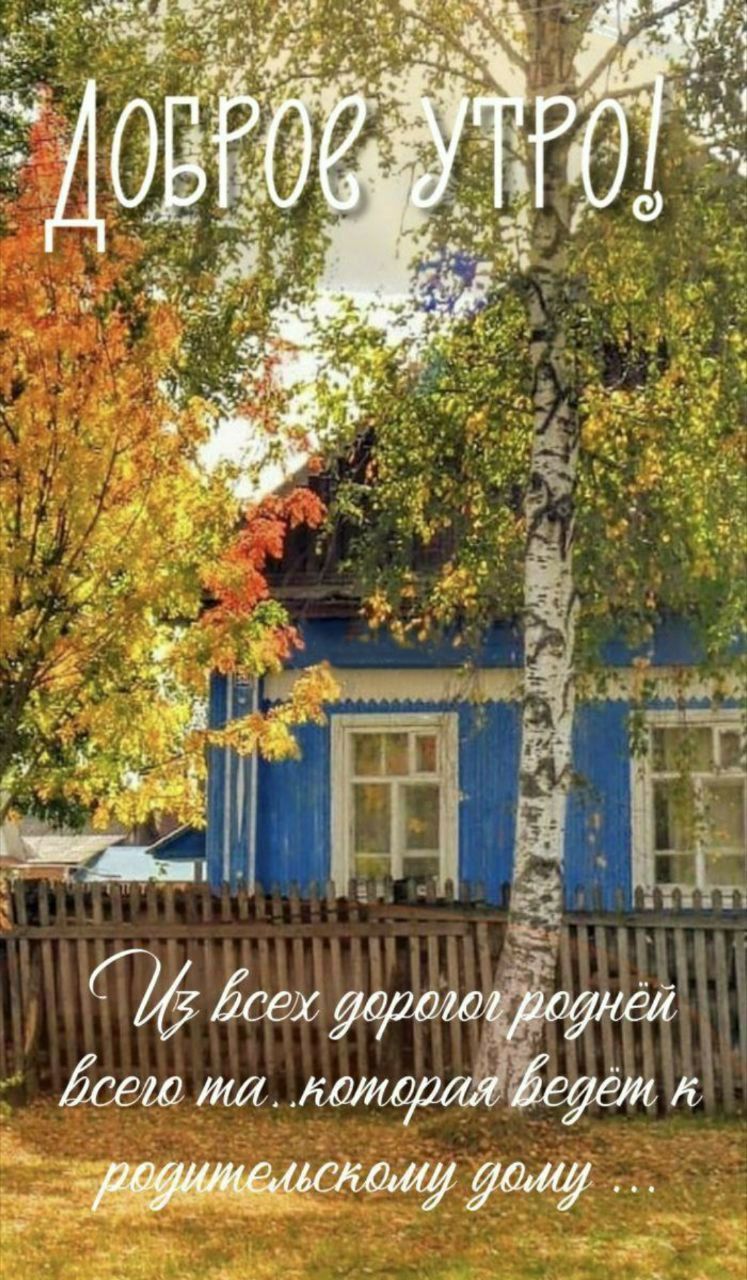 Доброе утро! Из всех дорогой родней всего та, которая ведёт к родительскому дому...