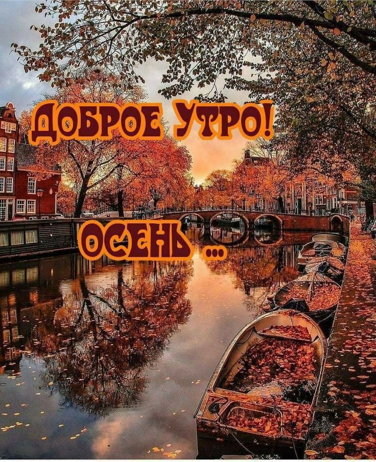 ДОБРОЕ УТРО! ОСЕНЬ ...