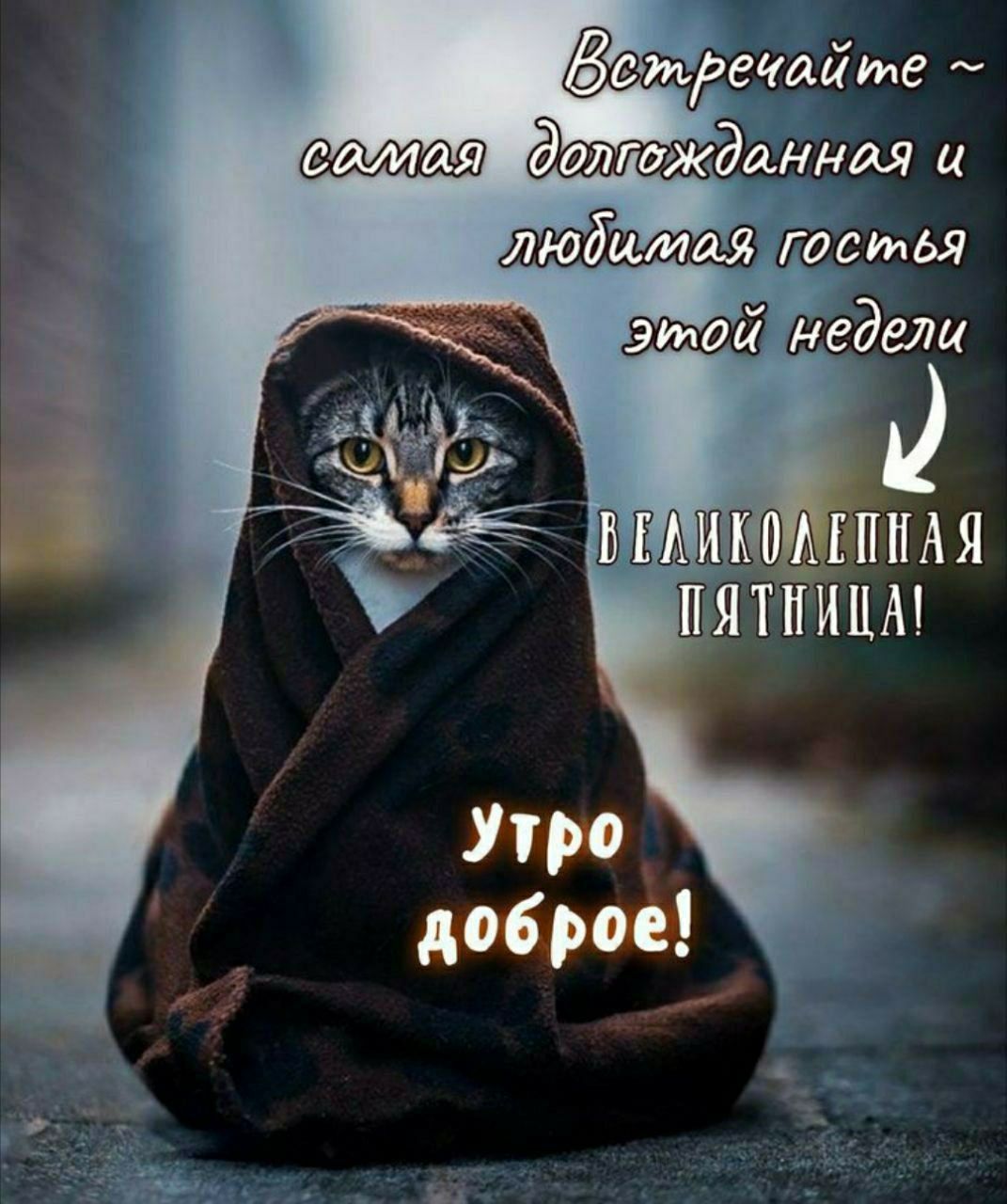 Встречайте ~ самая долгожданная и любимая гостья этой недели ВЕЛИКОЛЕПНАЯ ПЯТНИЦА! УТРО ДОБРОЕ!