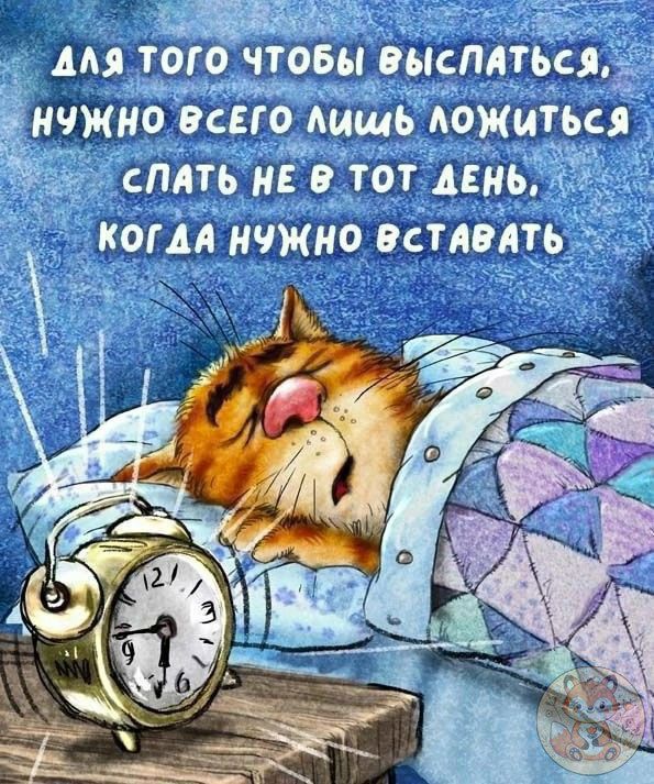 Для того чтобы выспаться, нужно всего лишь ложиться спать не в тот день, когда нужно вставать.