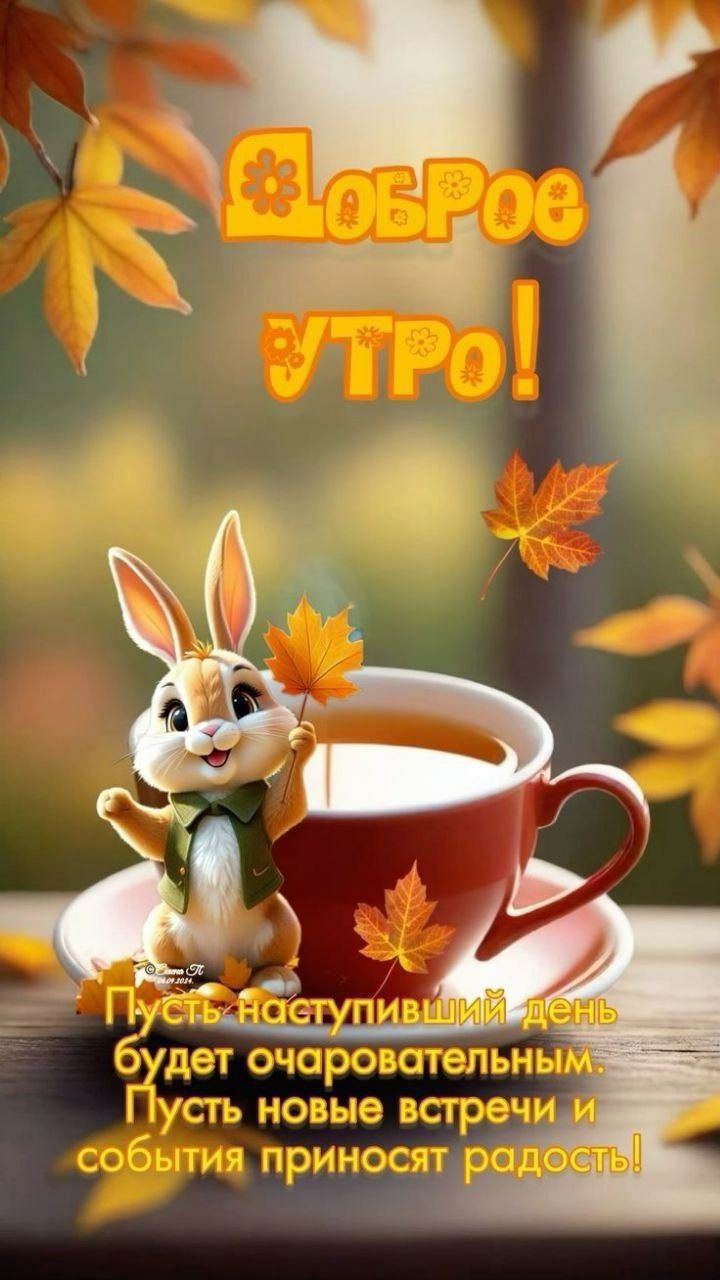 Доброе утро! Пусть наступивший день будет очаровательным. Пусть новые встречи и события приносят радость!
