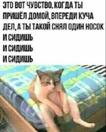 ЭТО ВОТ ЧУВСТВО, КОГДА ТЫ ПРИШЁЛ ДОМОЙ, ВПЕРЕДИ КУЧА ДЕЛ, А ТЫ ТАКОЙ СНЯЛ ОДИН НОСОК И СИДИШЬ И СИДИШЬ И СИДИШЬ