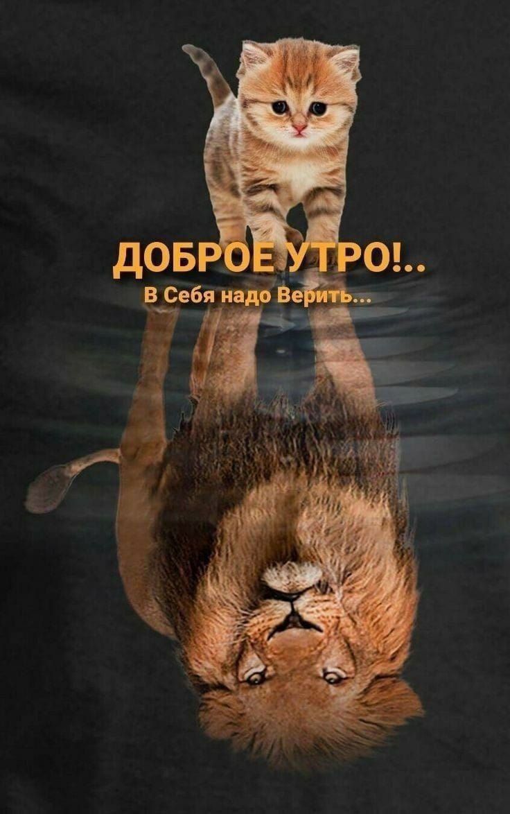ДОБРОЕ УТРО!.. В Себя надо Верить...