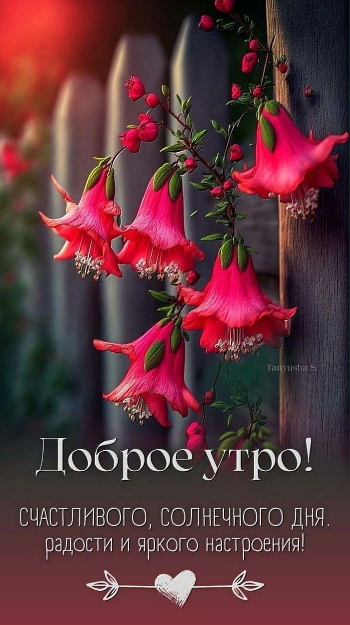 Доброе утро!
Счастливого, солнечного дня.
радости и яркого настроения!