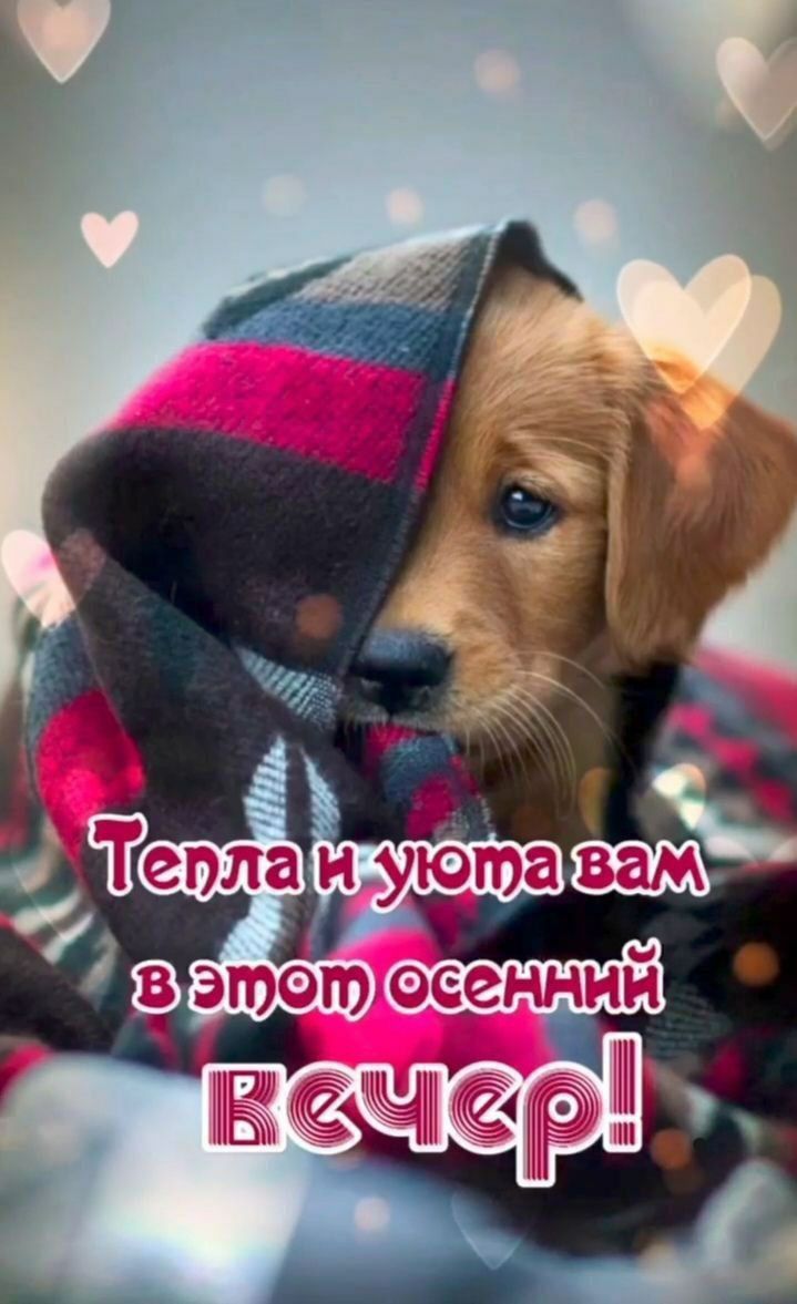 Тепла и уюта вам в этот осенний вечер!