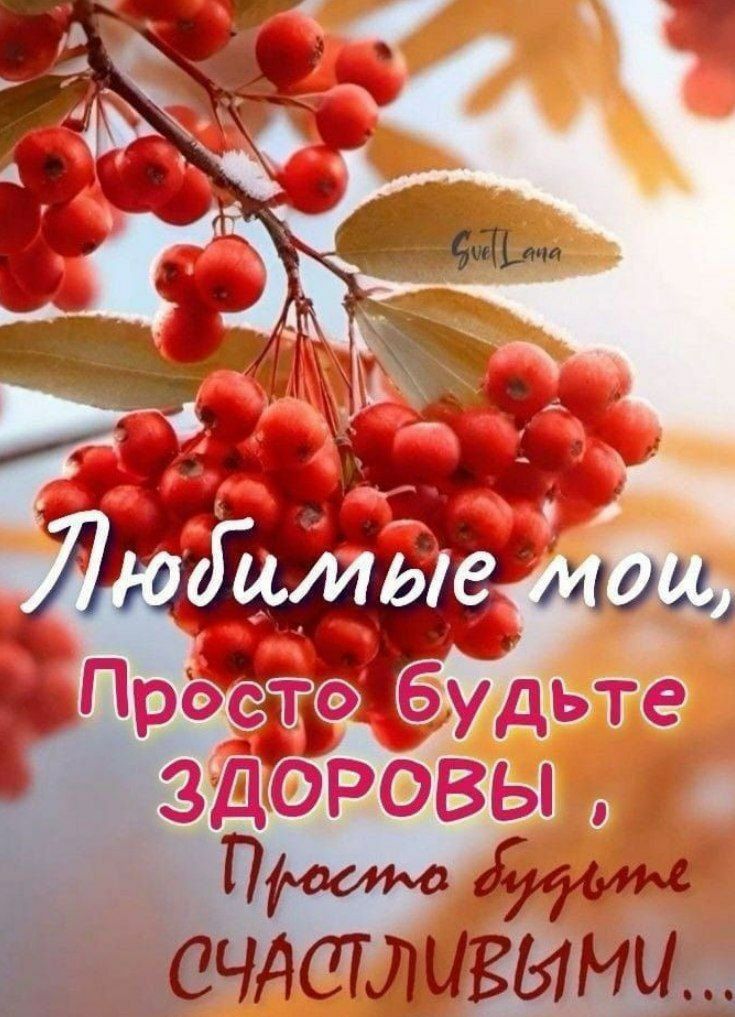 Любимые мои, Просто будьте ЗДОРОВЫ, Просто будьте СЧАСТЛИВЫМИ...