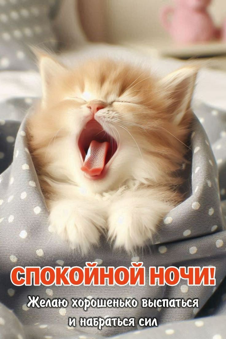 СПОКОЙНОЙ НОЧИ! Желаю хорошенько выспаться и набраться сил