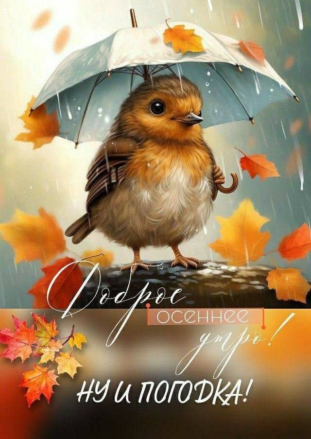Доброе осеннее утро! Ну и погодка!