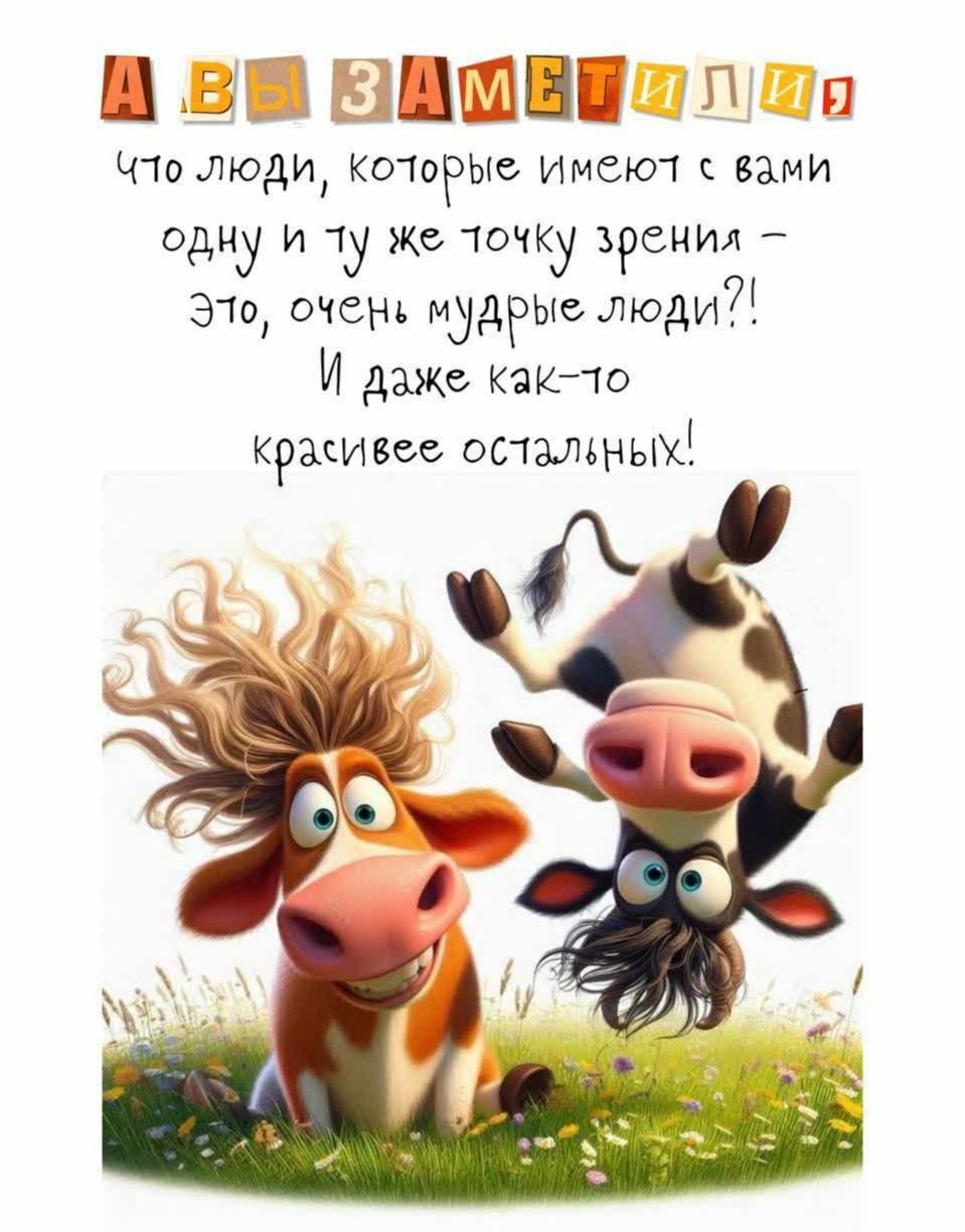 А ВЫ ЗАМЕТИЛИ,
что люди, которые имеют с вами одну и ту же точку зрения – это, очень мудрые люди?!
И даже как-то красивее остальных!