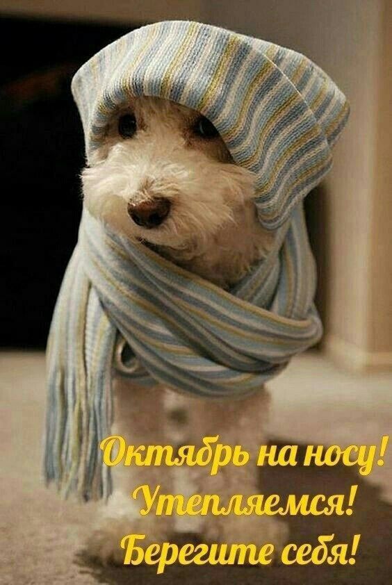Октябрь на носу! Утепляемся! Берегите себя!