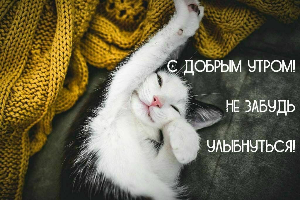 С ДОБРЫМ УТРОМ! НЕ ЗАБУДЬ УЛЫБНУТЬСЯ!