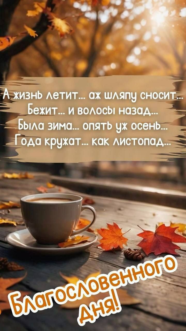 А жизнь летит... ах шляпу сносит... Бежит... и волосы назад... Была зима... опять уж осень... Года кружат... как листопад... Благословенного Дня!