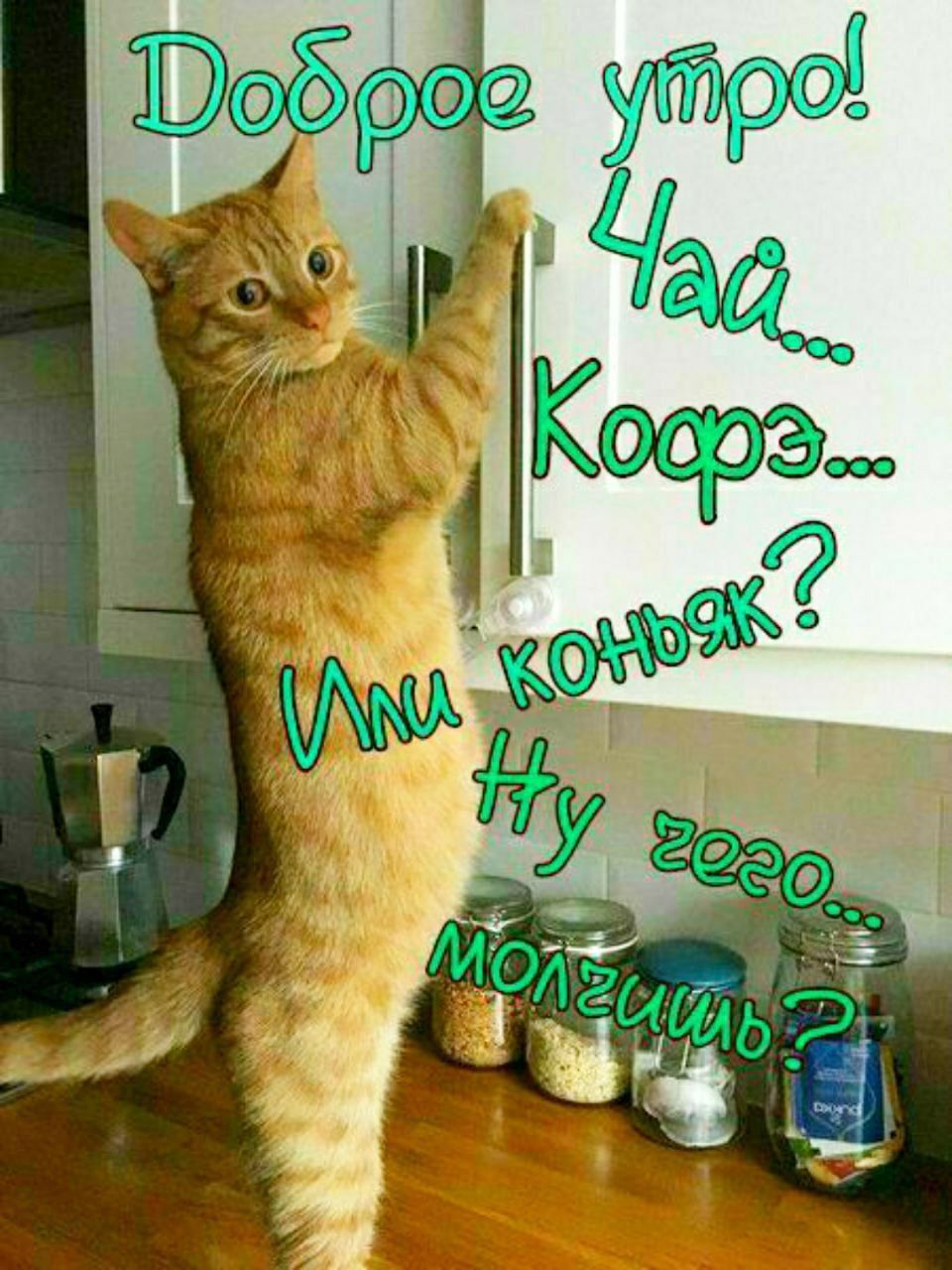 Доброе утро! Чай... Кофэ... Или коньяк? Ну чего... молчишь?