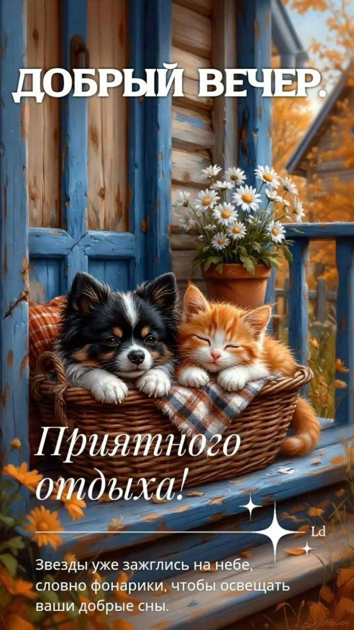 ДОБРЫЙ ВЕЧЕР.
Приятного отдыха!
Звезды уже зажглись на небе, словно фонарики, чтобы освещать ваши добрые сны.