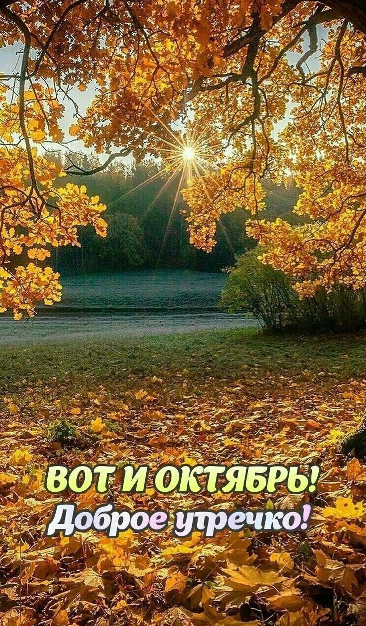 Вот и октябрь! Доброе утречко!