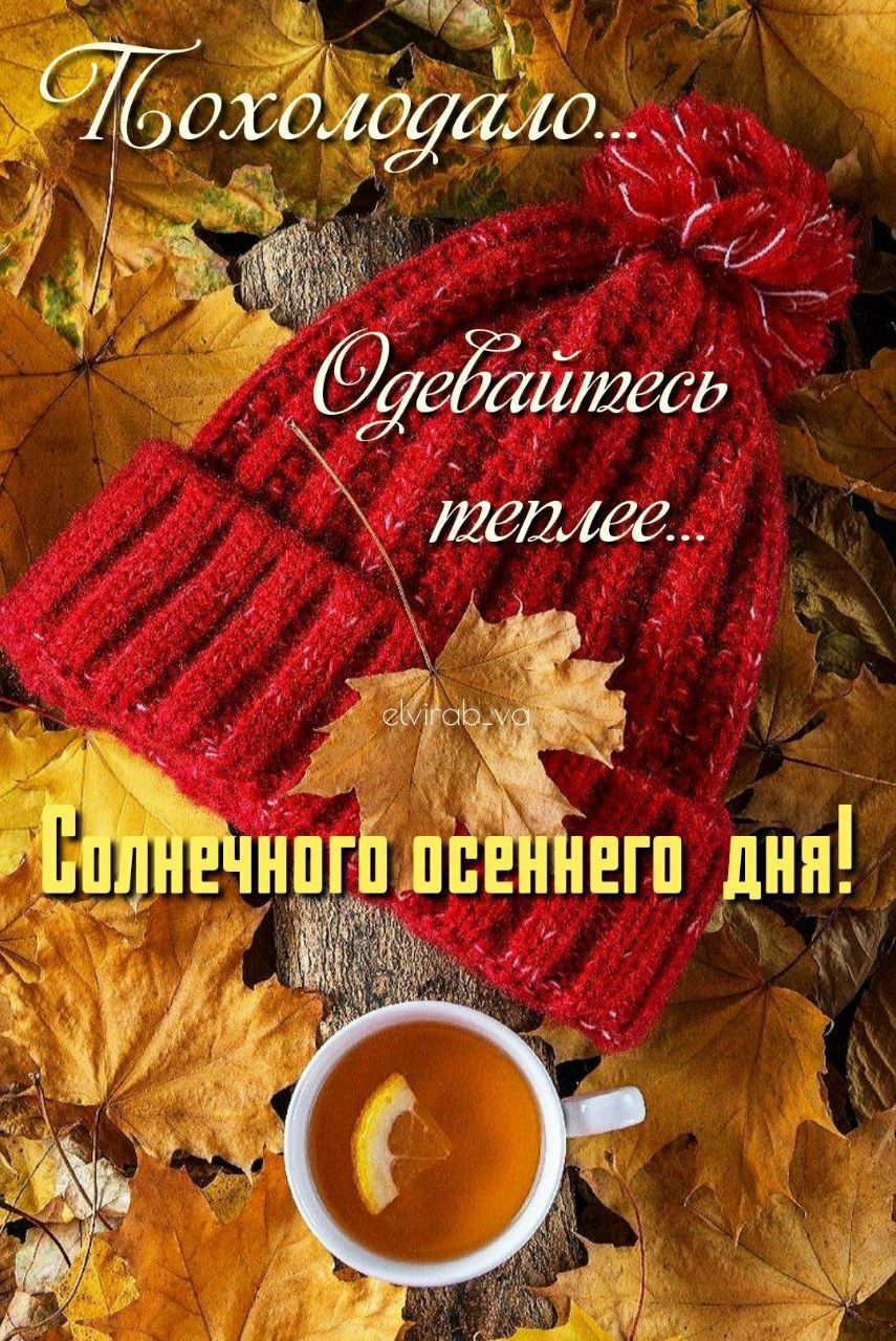 Похолодало. Одевайтесь теплее... Солнечного осеннего дня!