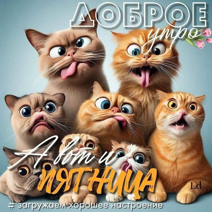 ДОБРОЕ утро
А вот и пятница
# загружаем хорошее настроение