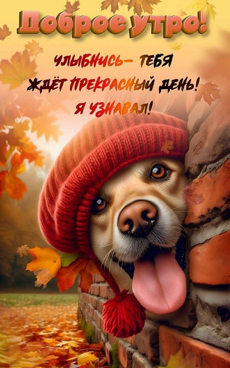Доброе утро! Улыбнись – тебя ждет прекрасный день! Я узнал!