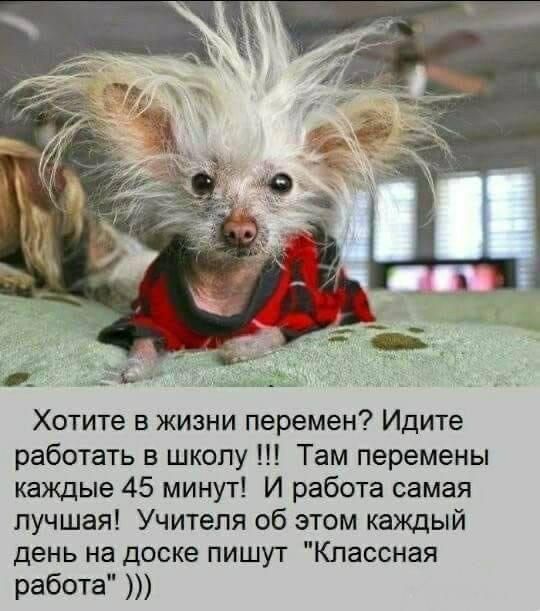 Хотите в жизни перемен? Идите работать в школу !!! Там перемены каждые 45 минут! И работа самая лучшая! Учителя об этом каждый день на доске пишут 
