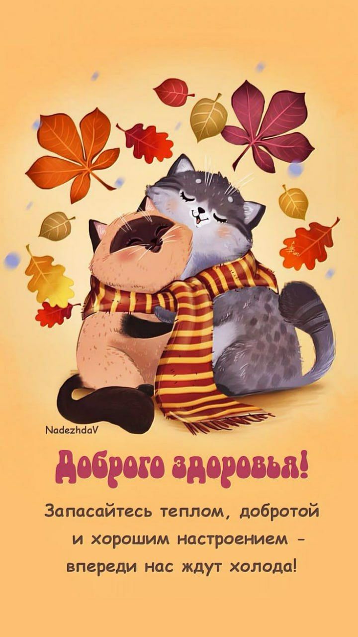 Доброе утро!
Запаситесь теплом, добротой и хорошим настроением - впереди нас ждут холода!
