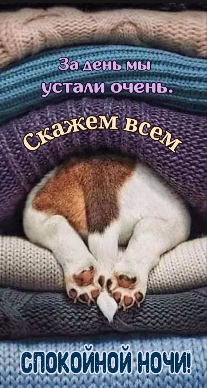 За день мы устали очень. Скажем всем СПОКОЙНОЙ НОЧИ!
