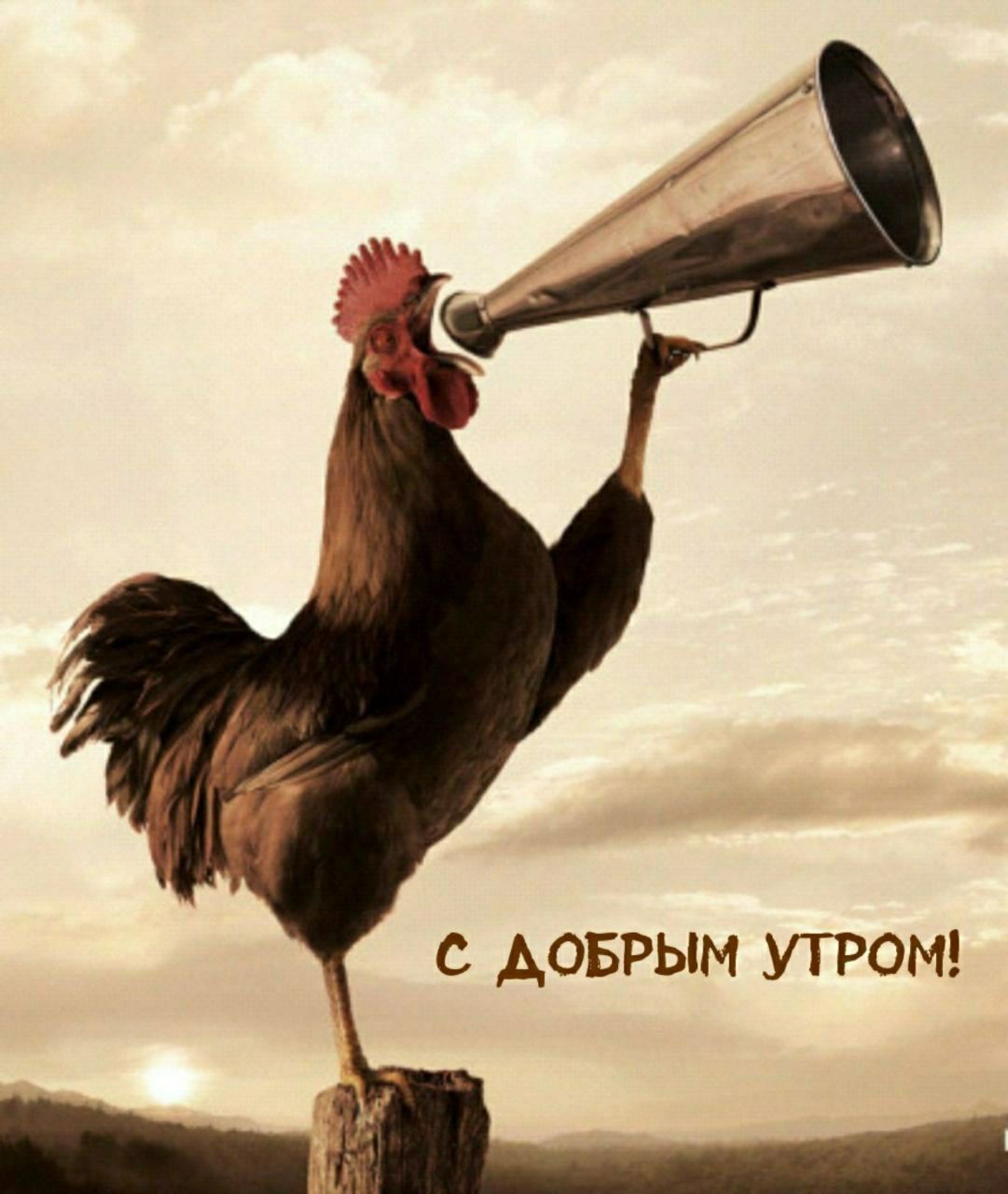 С ДОБРЫМ УТРОМ!