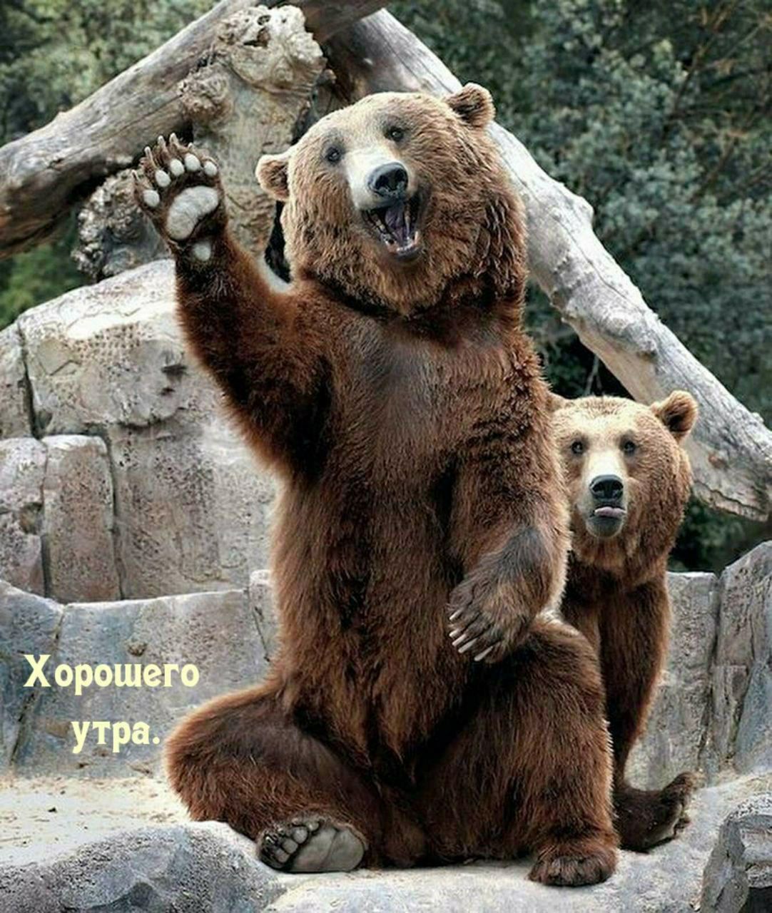 Хорошего утра.