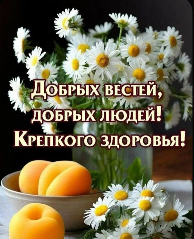 Добрых вестей, добрых людей! Крепкого здоровья!