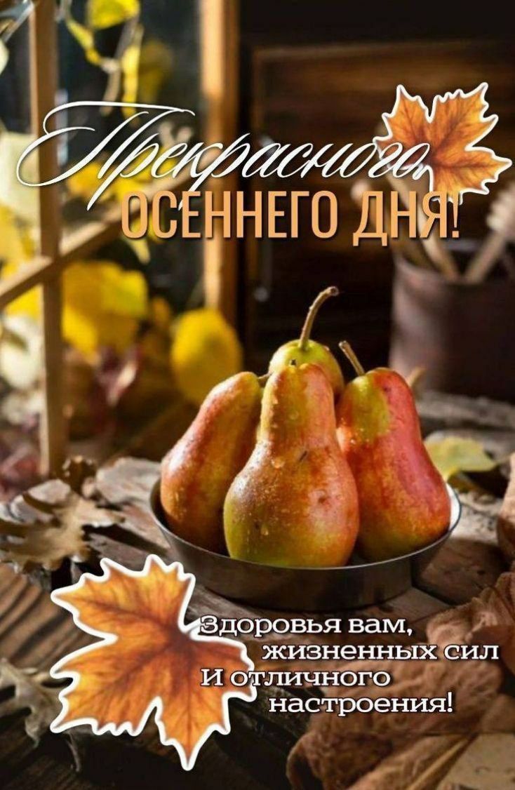 Прекрасного осеннего дня! Здоровья вам, жизненных сил и отличного настроения!