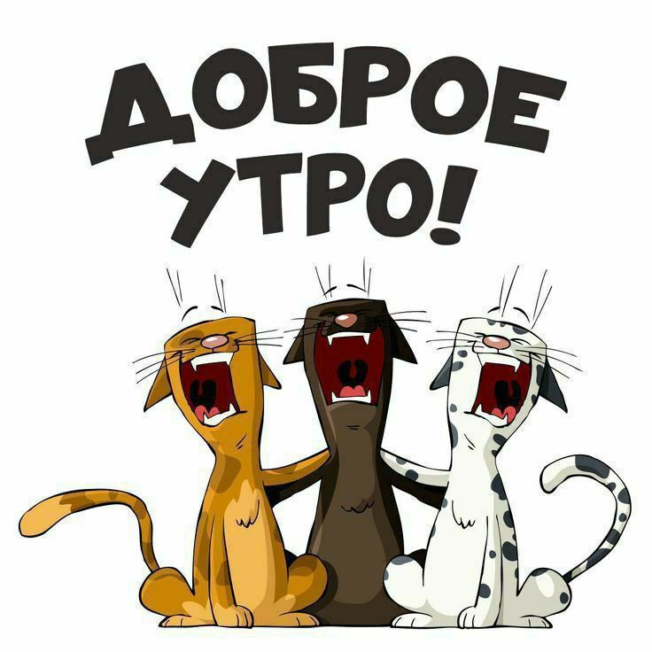 ДОБРОЕ УТРО!