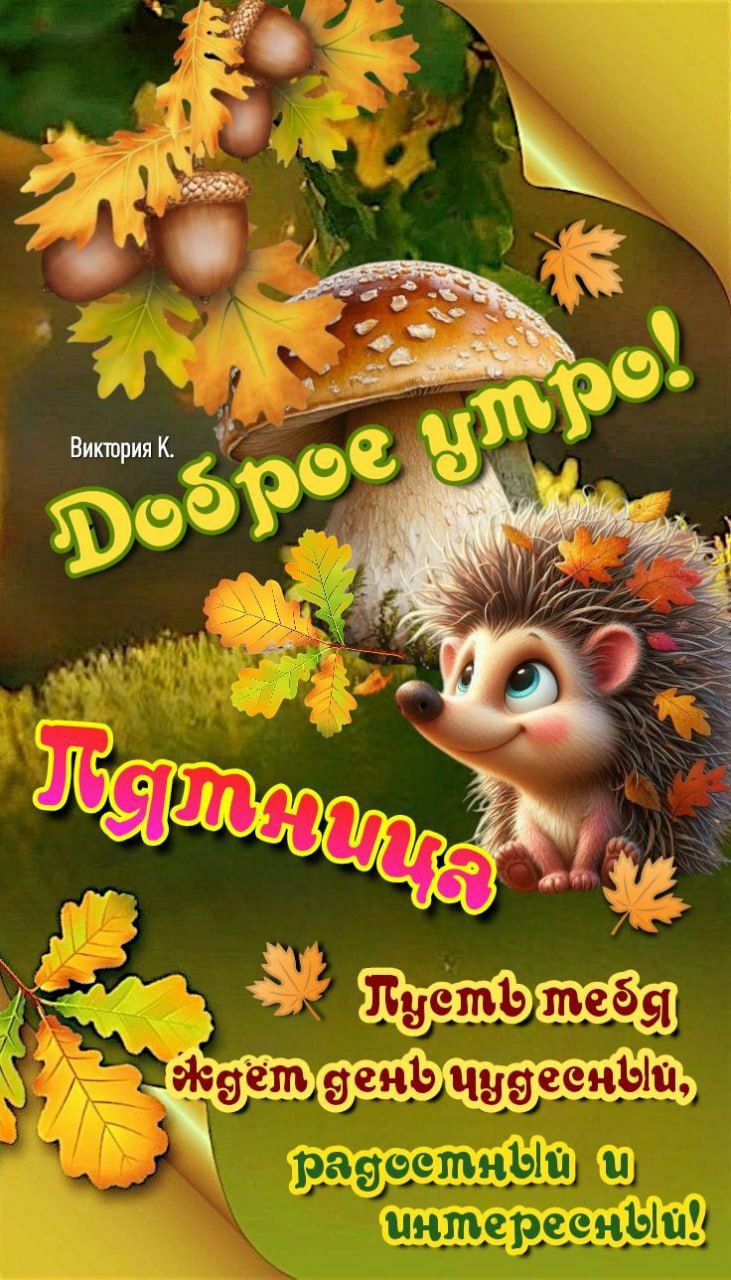 Доброе утро!
Пятница
Пусть тебя ждет день чудесный, радостный и интересный!