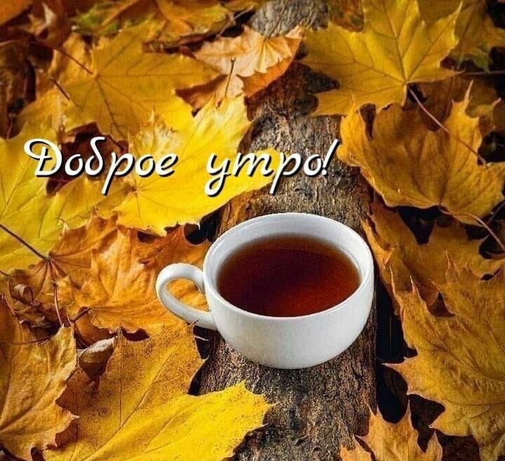 Доброе утро!