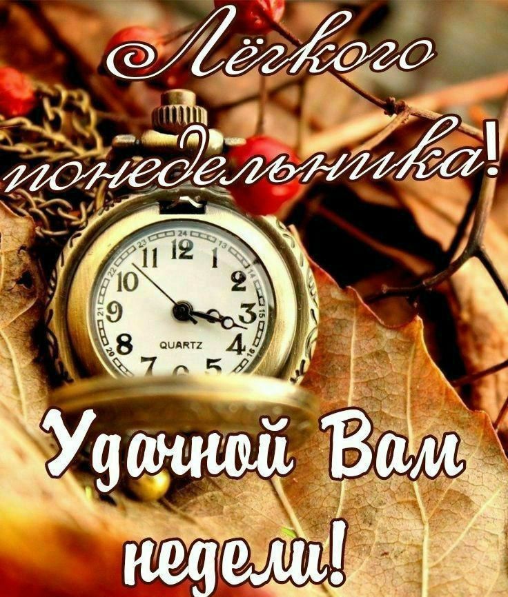 Лёгкого понедельника! Удачной Вам недели!